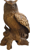 Grote uil