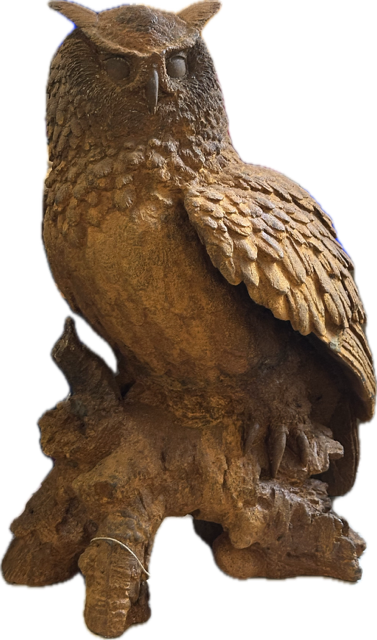 Grote uil