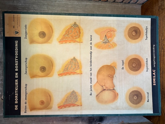 Vintage schoolplaten